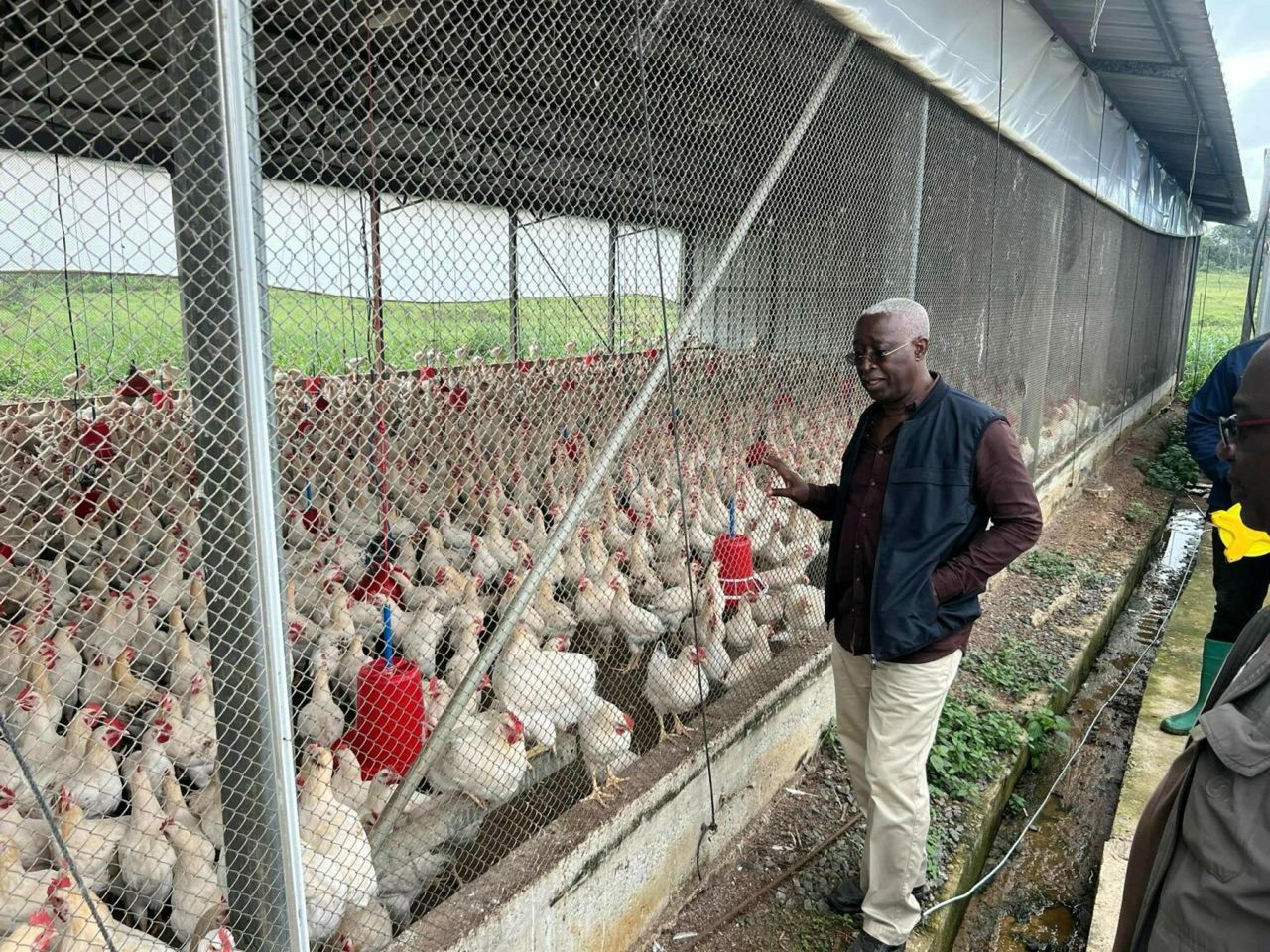 Projet bovin : Ndong Sima dénonce une « campagne coordonnée » et défend son bilan